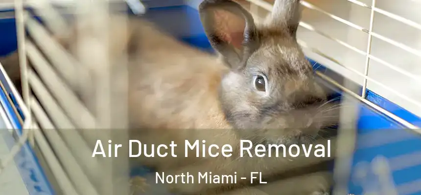  Air Duct Mice Removal North Miami - FL