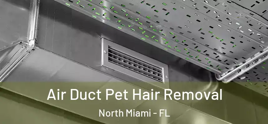  Air Duct Pet Hair Removal North Miami - FL