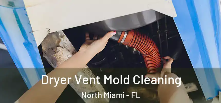 Dryer Vent Mold Cleaning North Miami - FL