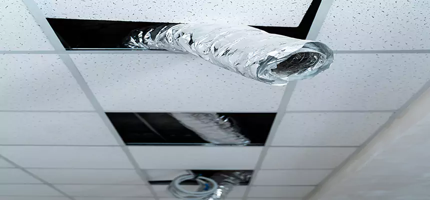 Our Air Duct Pet Hair Removal Services in North Miami, FL