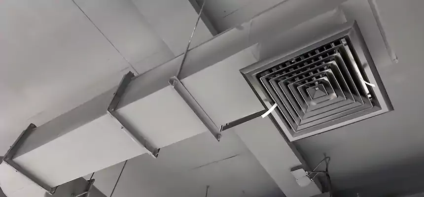 Our Pest Removal From Ducts Services in North Miami, FL