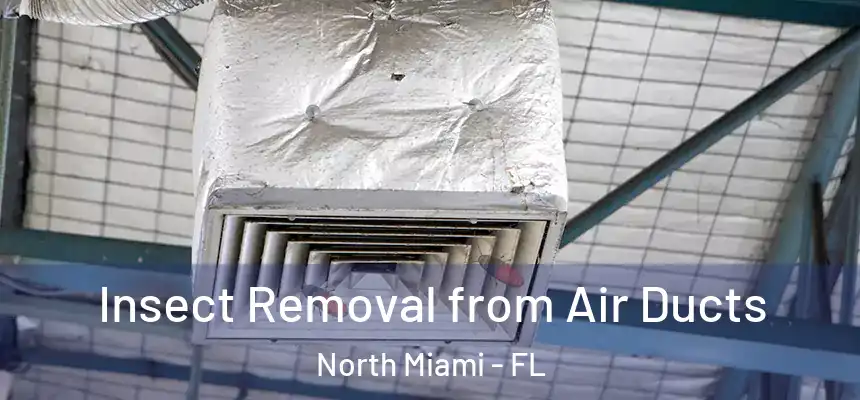 Insect Removal from Air Ducts North Miami - FL
