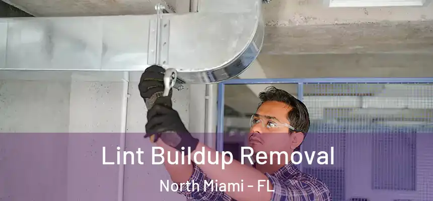  Lint Buildup Removal North Miami - FL