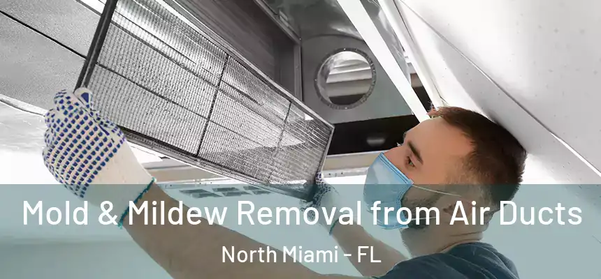  Mold & Mildew Removal from Air Ducts North Miami - FL