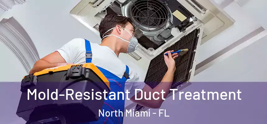  Mold-Resistant Duct Treatment North Miami - FL
