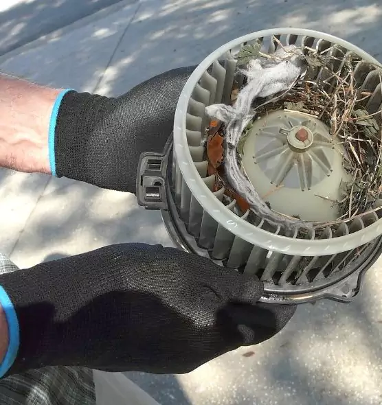 About Air Duct Rat Removal in North Miami, FL