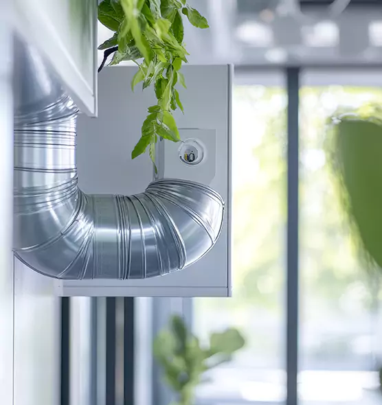 Professional Eco-Friendly Duct Cleaning Services in North Miami, FL