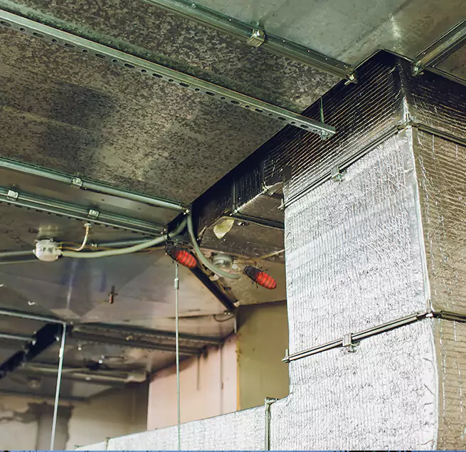 Why Homeowners & Businesses Trust Us North Miami, FL?